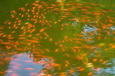 Nightdive想用虚幻引擎重制《雷神之锤》 并已去联系Epic