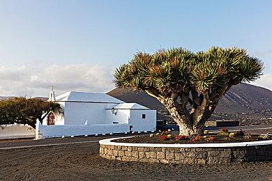 中世纪《骑士精神2》今日登陆Steam 首发6折仅售69.6