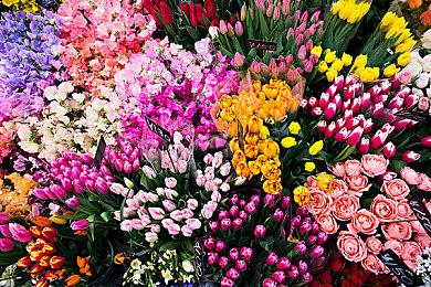 EA魔法射击《不朽者传奇》确认参加夏季游戏节